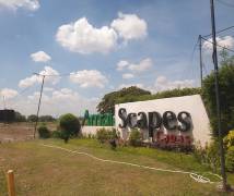 Amaia Scapes Capas view