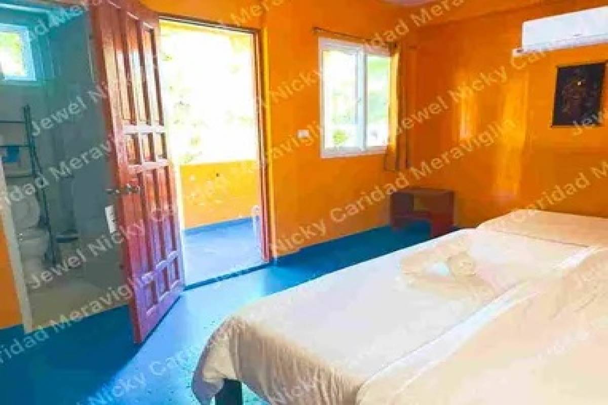 SANTA FE,REGION VII (CENTRAL VISAYAS),Land,1557