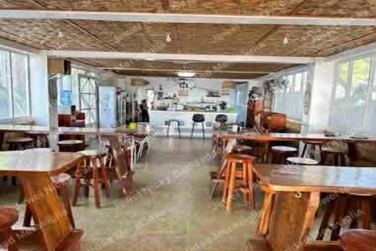 SANTA FE,REGION VII (CENTRAL VISAYAS),Land,1557