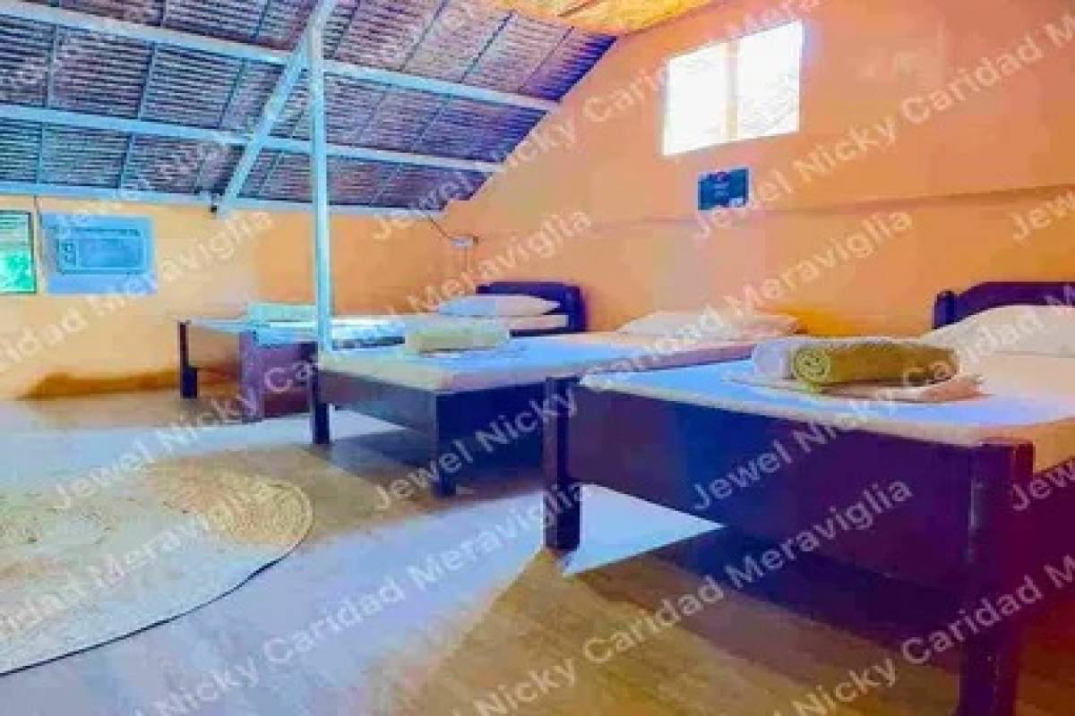 SANTA FE,REGION VII (CENTRAL VISAYAS),Land,1557