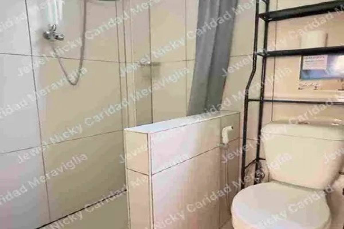 SANTA FE,REGION VII (CENTRAL VISAYAS),Land,1557