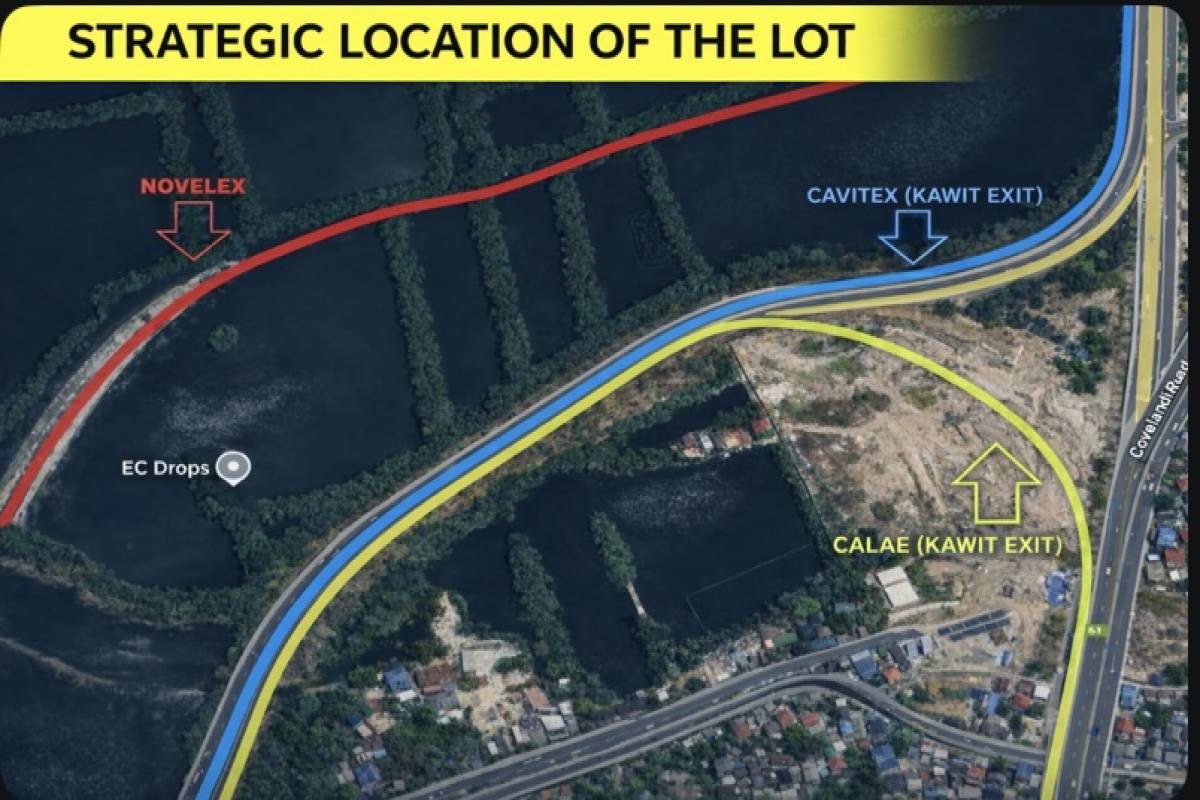 KAWIT,REGION IV-A (CALABARZON),Land,1593