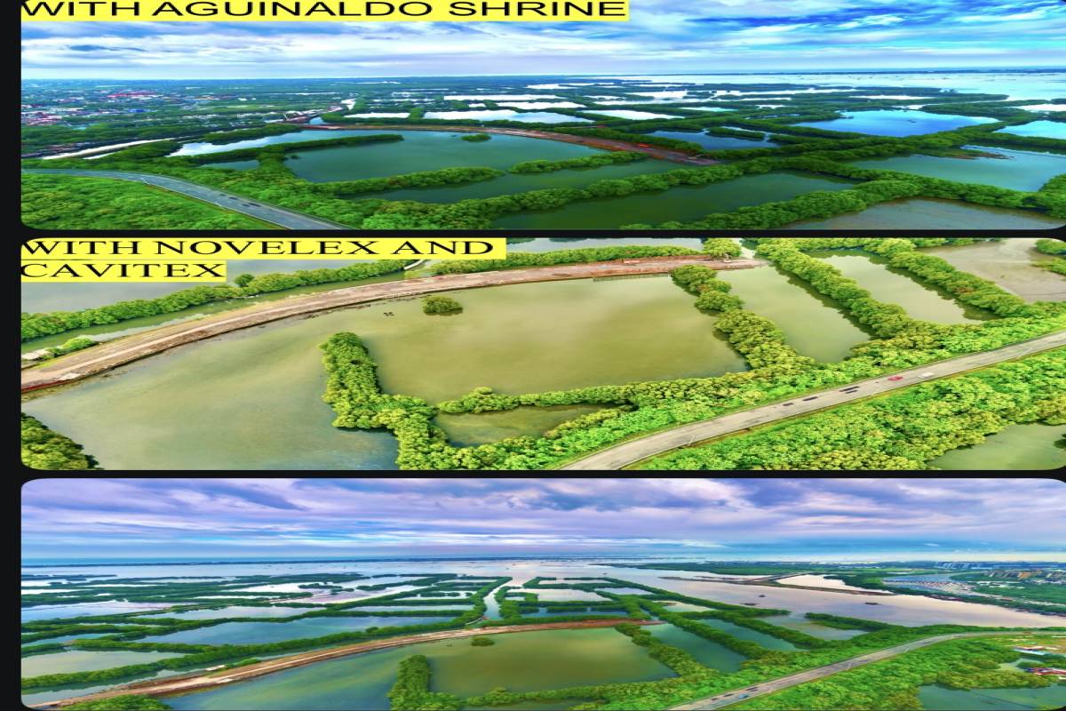 KAWIT,REGION IV-A (CALABARZON),Land,1593