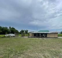 FARM LOT IN TARLAC 