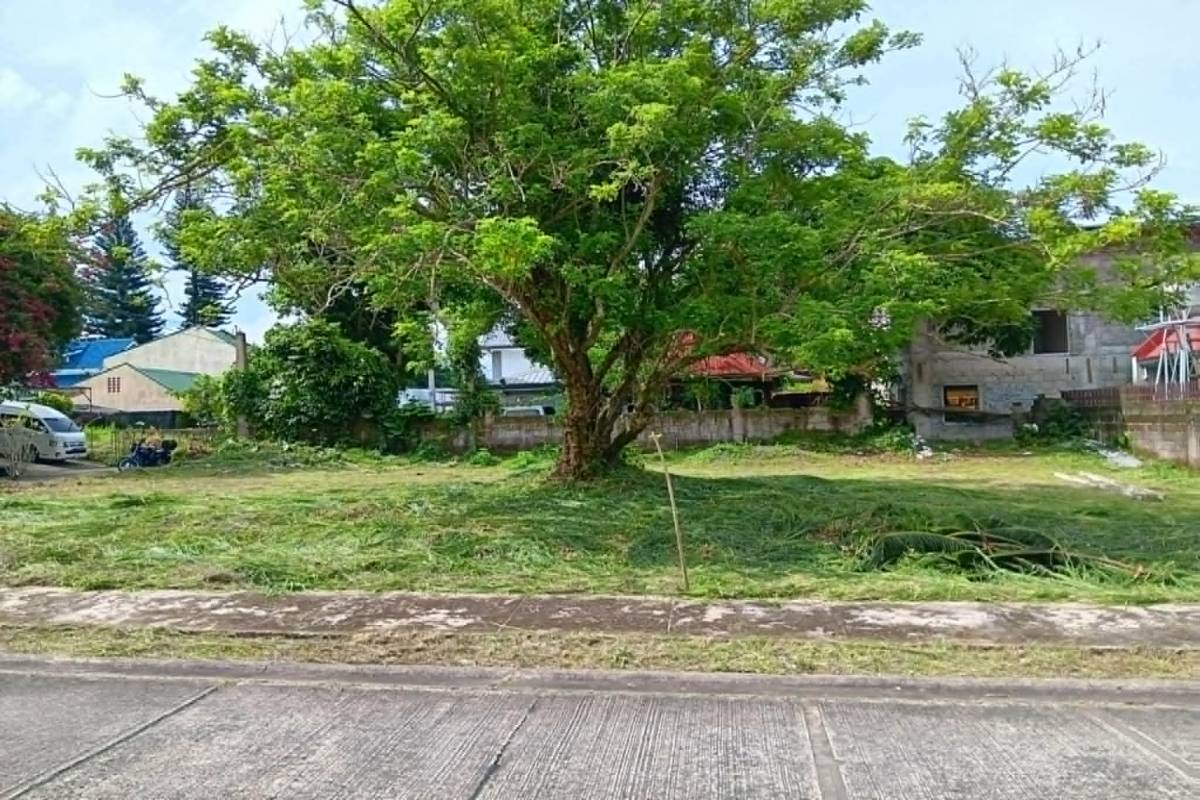 Tagaytay Country Homes,TAGAYTAY CITY,REGION IV-A (CALABARZON),Lot Only,Tagaytay Country Homes,1624