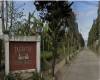 Tagaytay Country Homes,TAGAYTAY CITY,REGION IV-A (CALABARZON),Lot Only,Tagaytay Country Homes,1624