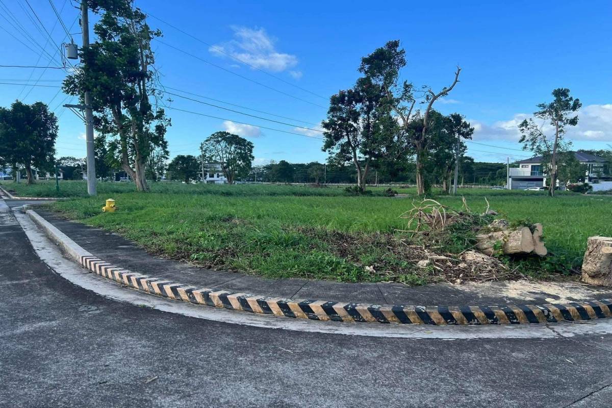 MORNING FIELDS AT CARMELTOWN PHASE 1,CANLUBANG,C,CITY OF CALAMBA,REGION IV-A (CALABARZON),Lot Only,MORNING FIELDS AT CARMELTOWN PHASE 1,CANLUBANG,C,1637