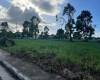 MORNING FIELDS AT CARMELTOWN PHASE 1,CANLUBANG,C,CITY OF CALAMBA,REGION IV-A (CALABARZON),Lot Only,MORNING FIELDS AT CARMELTOWN PHASE 1,CANLUBANG,C,1637