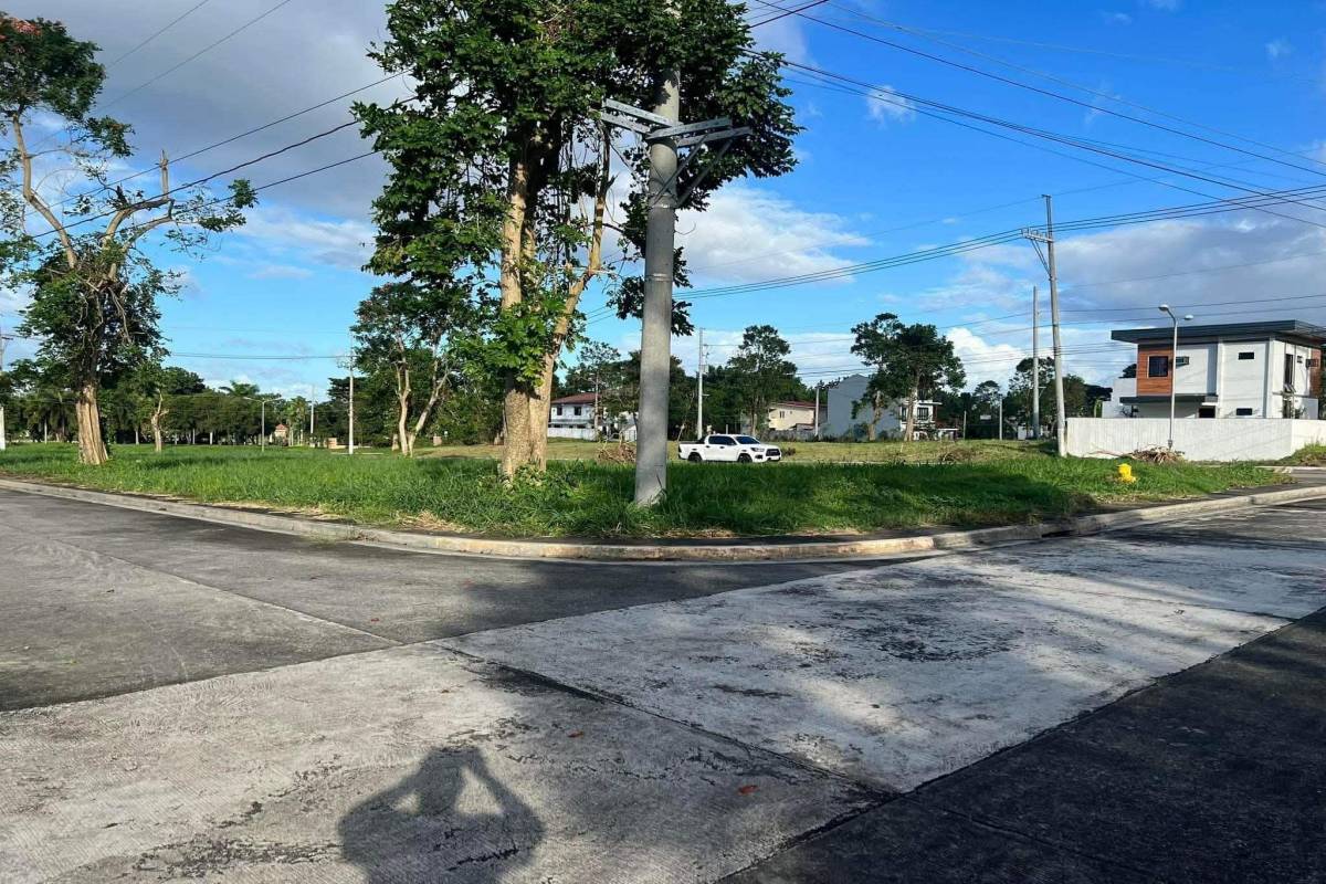 MORNING FIELDS AT CARMELTOWN PHASE 1,CANLUBANG,C,CITY OF CALAMBA,REGION IV-A (CALABARZON),Lot Only,MORNING FIELDS AT CARMELTOWN PHASE 1,CANLUBANG,C,1637