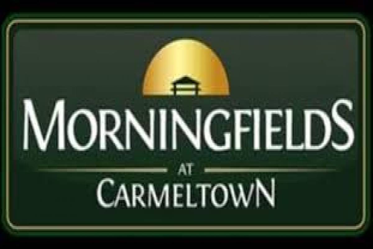 MORNING FIELDS AT CARMELTOWN PHASE 1,CANLUBANG,C,CITY OF CALAMBA,REGION IV-A (CALABARZON),Lot Only,MORNING FIELDS AT CARMELTOWN PHASE 1,CANLUBANG,C,1637