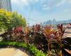 One Gateway Place,CITY OF MANDALUYONG,NATIONAL CAPITAL REGION (NCR),Condominium,One Gateway Place,1638