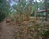 Brgy. Guyam Malaki,Indang,Cavite,REGION IV-A (CALABARZON),Land,Brgy. Guyam Malaki,Indang,Cavite,1639