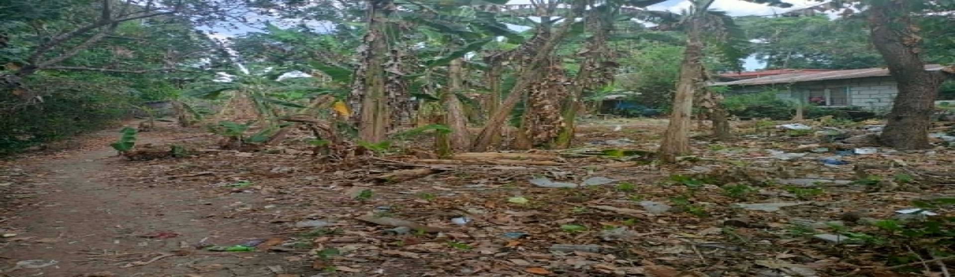 Lot For sale Brgy. Guyam Malaki, Indang, Cavite