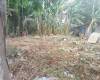 Brgy. Guyam Malaki,Indang,Cavite,REGION IV-A (CALABARZON),Land,Brgy. Guyam Malaki,Indang,Cavite,1639
