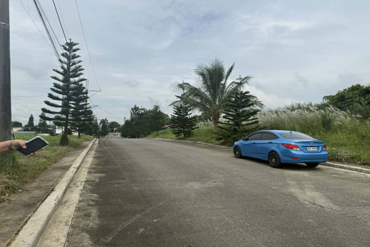 Deolour Executive Village,SILANG,REGION IV-A (CALABARZON),Lot Only,Deolour Executive Village,896818