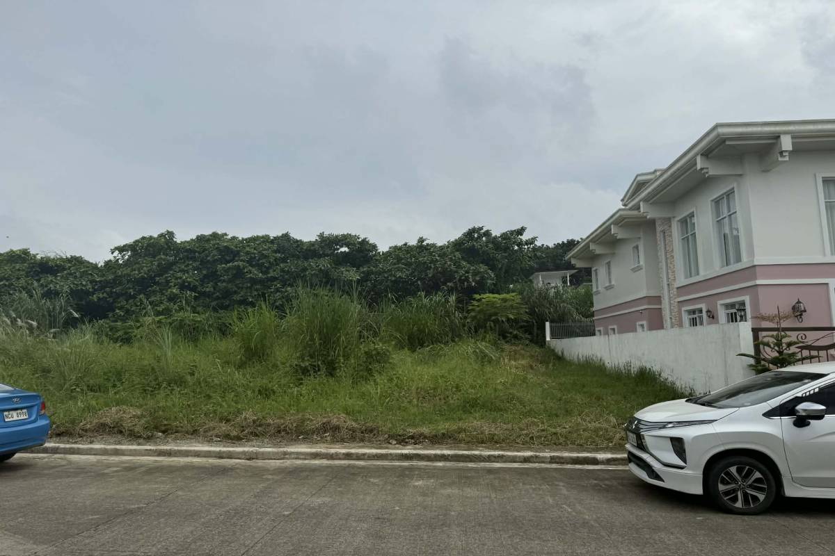 Deolour Executive Village,SILANG,REGION IV-A (CALABARZON),Lot Only,Deolour Executive Village,896818