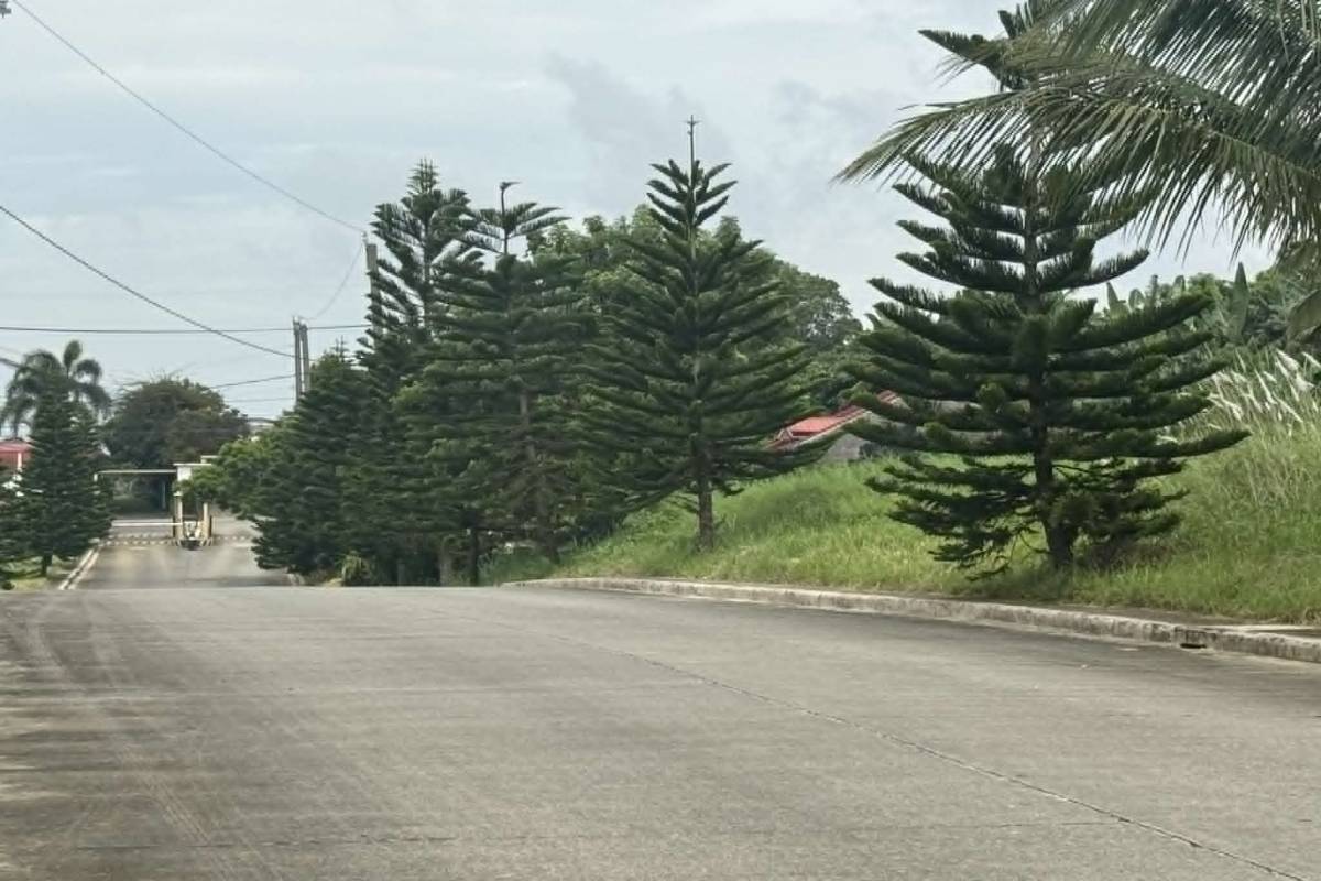 Deolour Executive Village,SILANG,REGION IV-A (CALABARZON),Lot Only,Deolour Executive Village,896818