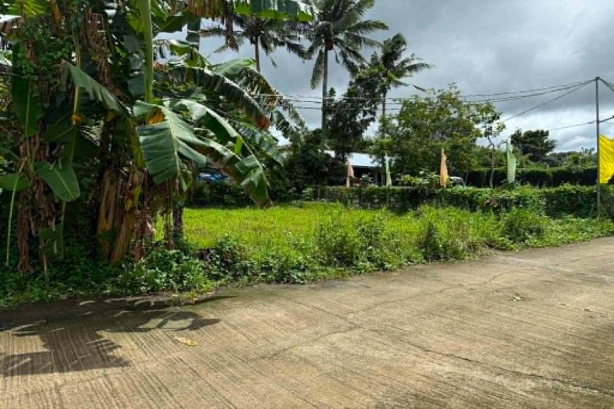 Brgy. Lumil,Silang,Cavite,SILANG,REGION IV-A (CALABARZON),Lot Only,Brgy. Lumil,Silang,Cavite,896820