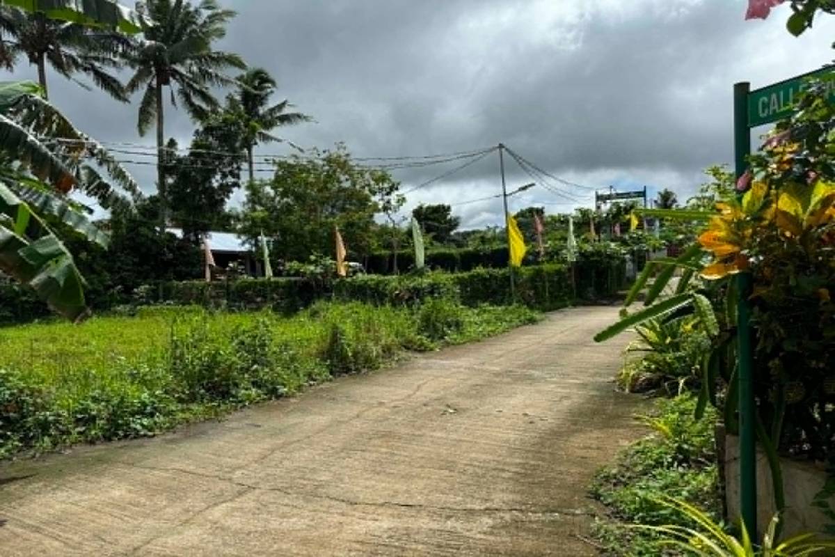 Brgy. Lumil,Silang,Cavite,SILANG,REGION IV-A (CALABARZON),Lot Only,Brgy. Lumil,Silang,Cavite,896820
